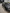 voitures-volkswagen-golf-7-2019-memphis-ouled-yaich-blida-algerie