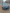 voitures-volkswagen-golf-7-2018-confortline-chlef-algerie