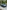 voitures-volkswagen-golf-7-2019-gtd-alger-centre-algerie