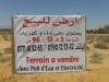 Vente Terrain Biskra Ouled djellal