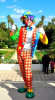  Clown Magicien Mascottes Marionettes