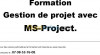 Formation MS Project