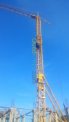 Grue 05