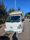 Hyundai H100 2010