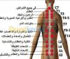 HIJAMA ET SOINS CORPORELS  FEMMES