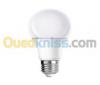 AMPOULE LED BULB LUMIERE BLANCHE FSL