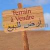 Vente Terrain Djelfa Hassi fedoul