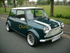 Pièces détachées mini austin