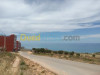 Vente Terrain Tlemcen Marsa ben mhidi