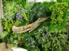 MUR VEGETAL ARTIFICIEL & brise vue