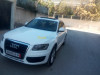 Audi Q5 2010 