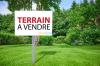 Vente Terrain Guelma Ben djarah