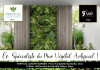 MUR VEGETAL ARTIFICIEL  HYDRA ALGER 