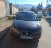 Seat Ibiza 2010 Ibiza