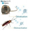 Désinsectisations et Dératisations 