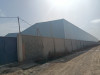 Location Hangar Alger Les eucalyptus