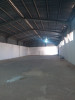 Location Hangar Oran Sidi chami