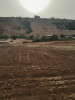 Vente Terrain Boumerdès Zemmouri