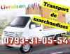 Transport de marchandises         livraison colis 