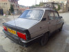 Renault R12 1989 