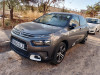 Citroen C4 Cactus 2021 C4 Cactus