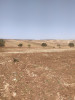 Vente Terrain Agricole Tlemcen Bensekrane