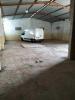 Location Hangar Mostaganem Mostaganem