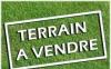 Vente Terrain Agricole Oran Boufatis