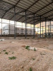 Location Hangar Boumerdes Hammedi