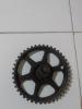 pinion albracame 