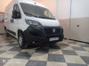 Ducato Ducato 