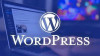 Développeur WordPress