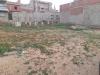 Vente Terrain Mostaganem Hassi maameche