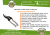 SECATEUR BELLOTA PROFESSIONNEL 