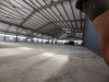 Location Hangar Alger Les eucalyptus