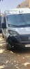 Fiat Ducato 2024 HDI