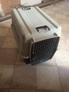 Cage pour chien taille L