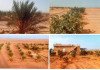 Vente Terrain Béchar Bechar