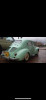 Renault 4cv 1959 4cv