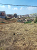 Vente Terrain Alger Zeralda