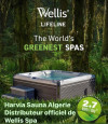 Spa Jacuzzi Wellis