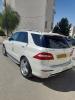 Mercedes ML 2013 250 CDI Pack AMG