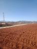 Vente Terrain Agricole Tipaza Sidi amar