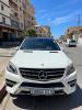 Mercedes ML 2013 250 CDI Pack AMG