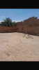 Vente Terrain Ghardaïa Zelfana