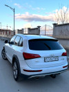 Audi Q5 2013 Off Road