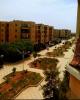 Vente Appartement F4 Oran Ain el bia