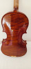 Violon italien fait par luthier giasone Carlo 2007