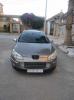 Peugeot 407 2006 407SW