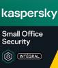 Kaspersky Pro Officiel